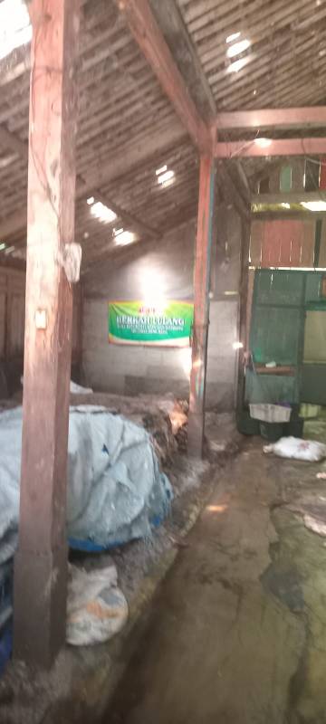 WhatsApp Image 2026-06-25 at 20.28.13 (1)