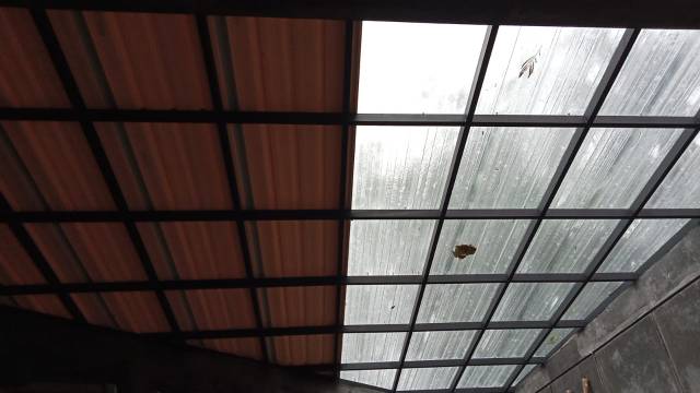 WhatsApp Image 2026-09-02 at 18.14.10 - Copy