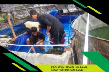 WhatsApp Image 2026-09-10 at 06.53.03
